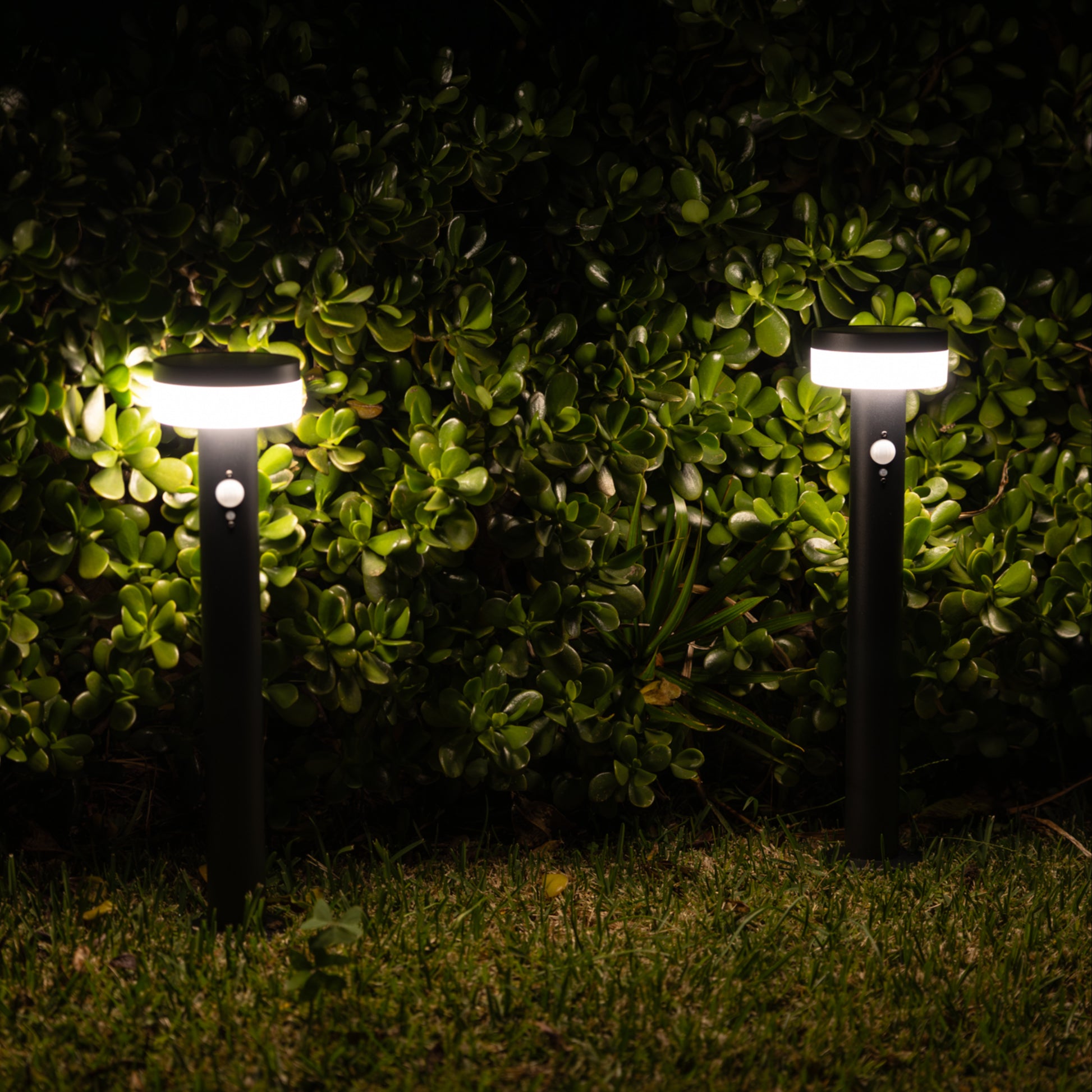 Two black solar bollard lights illuminating a grassy area with green bushes in the background.