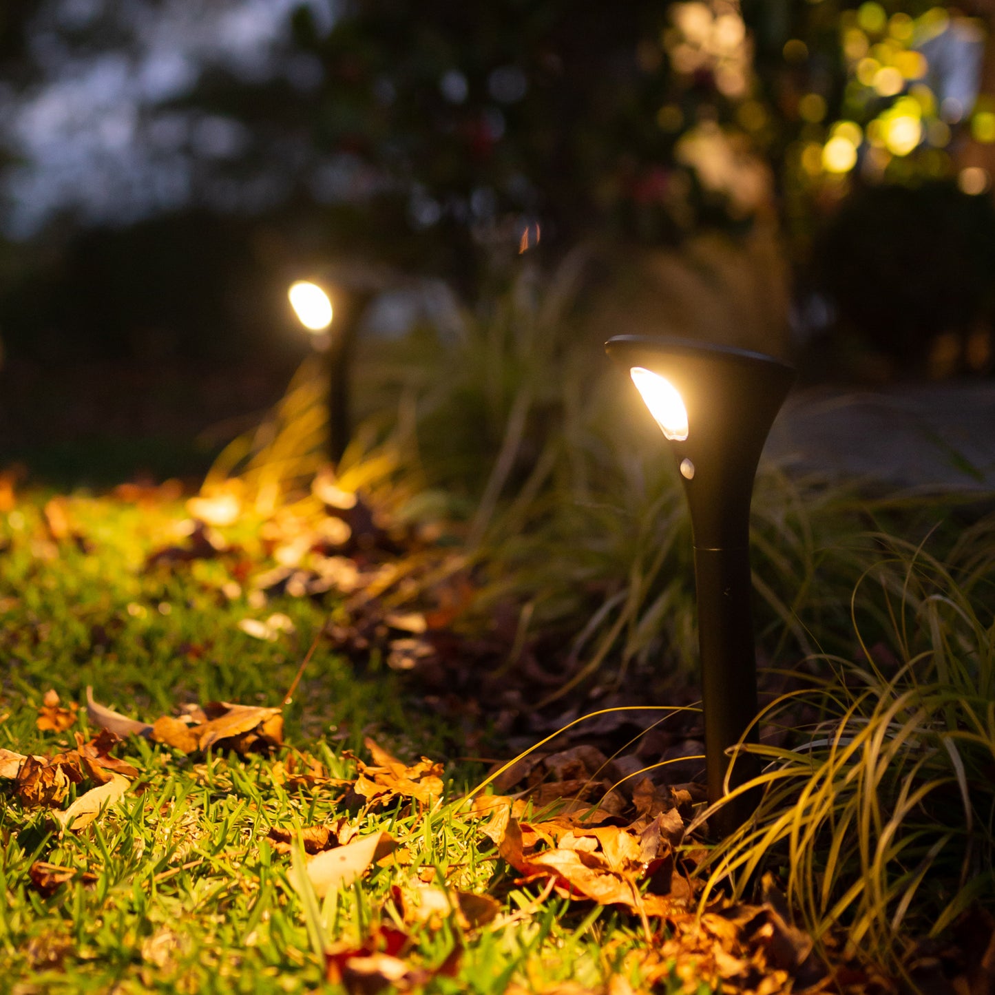 two solar garden path lights illuminate outdoor area
