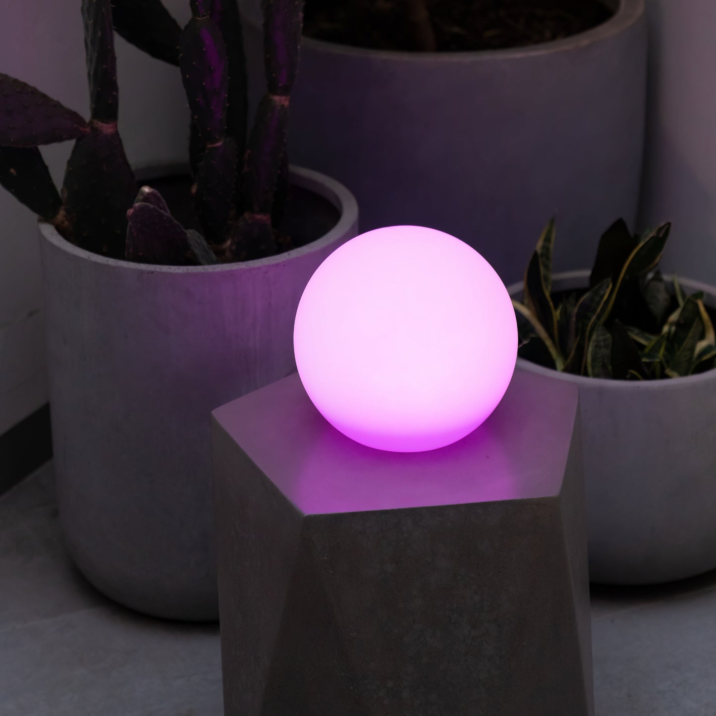 Purple LED solar sphere light on a small table with potted plants in the background