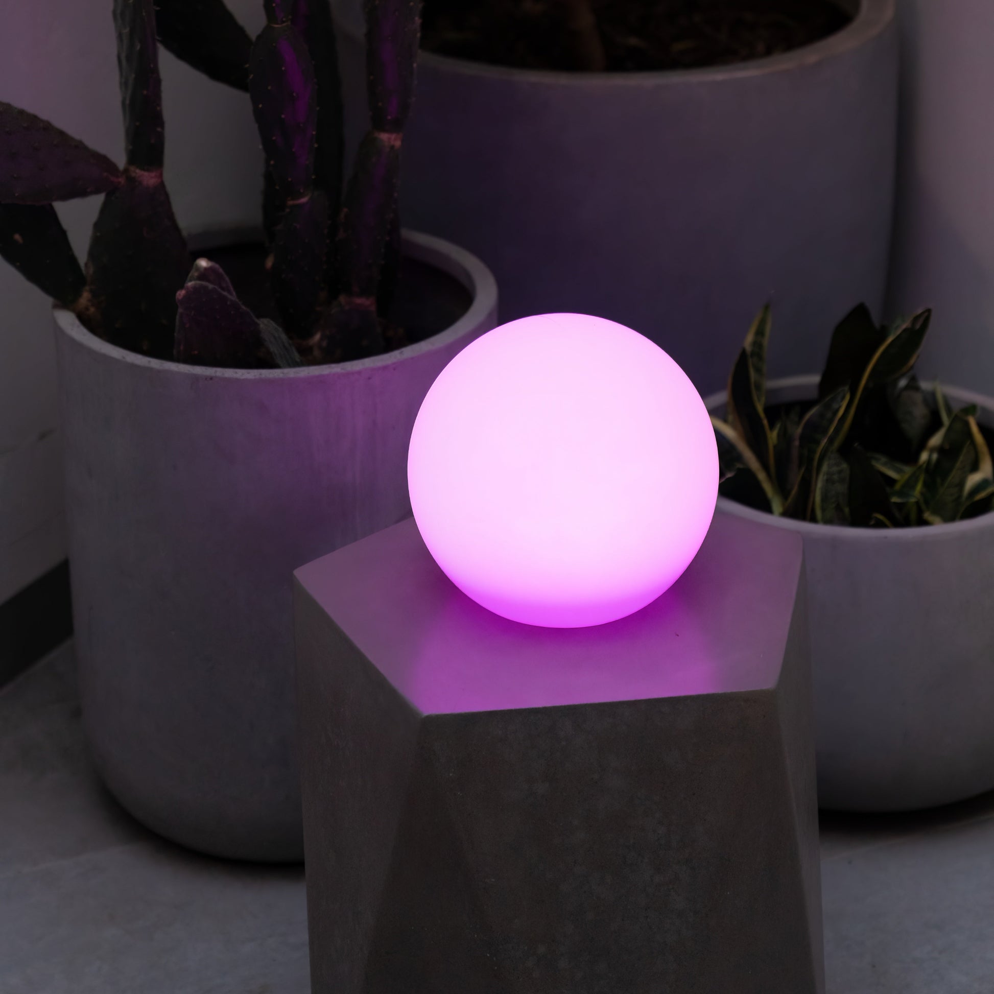 Purple LED solar sphere light on a small table with potted plants in the background