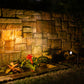 solar garden spot light illuminates a flower wall