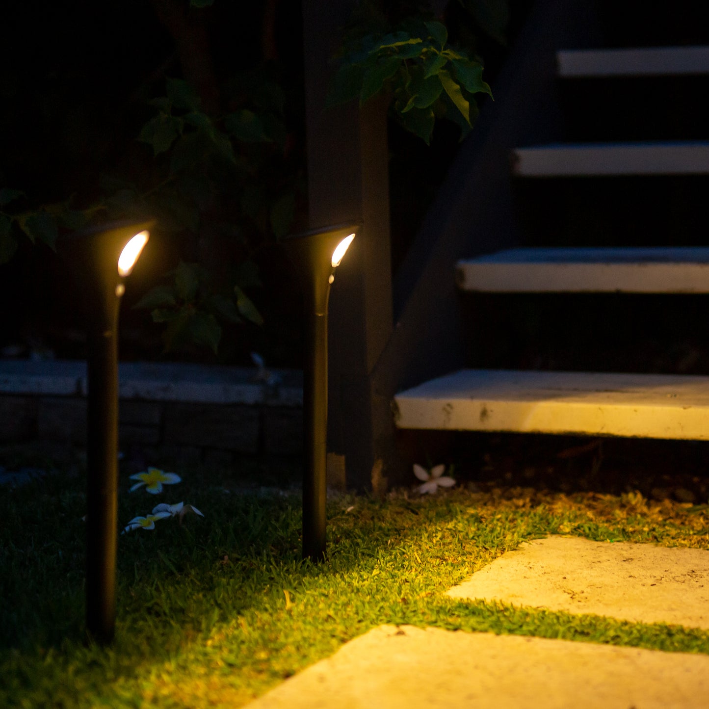 two solar garden path lights illuminate the path