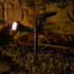 solar garden spot light illuminates an outdoor area