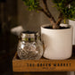 Solar crackle jar light turned off sitting on a wooden tray next to a plant in a white pot