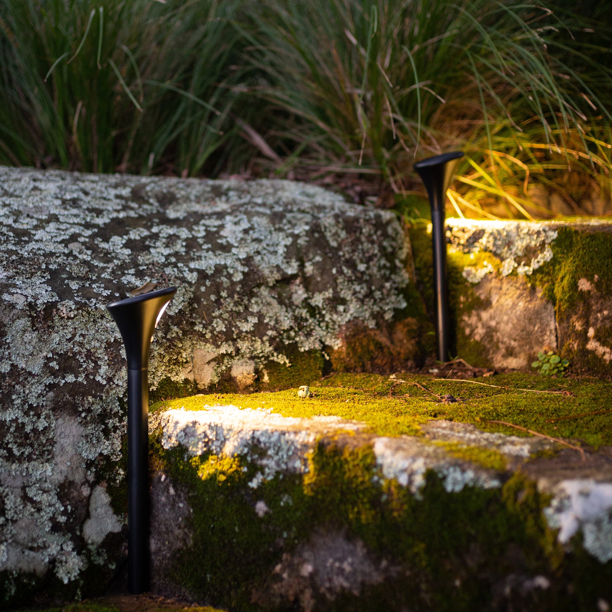 two solar garden path lights illuminate outdoor stairs