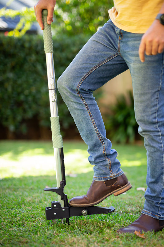 stand up weed puller being used on lawn