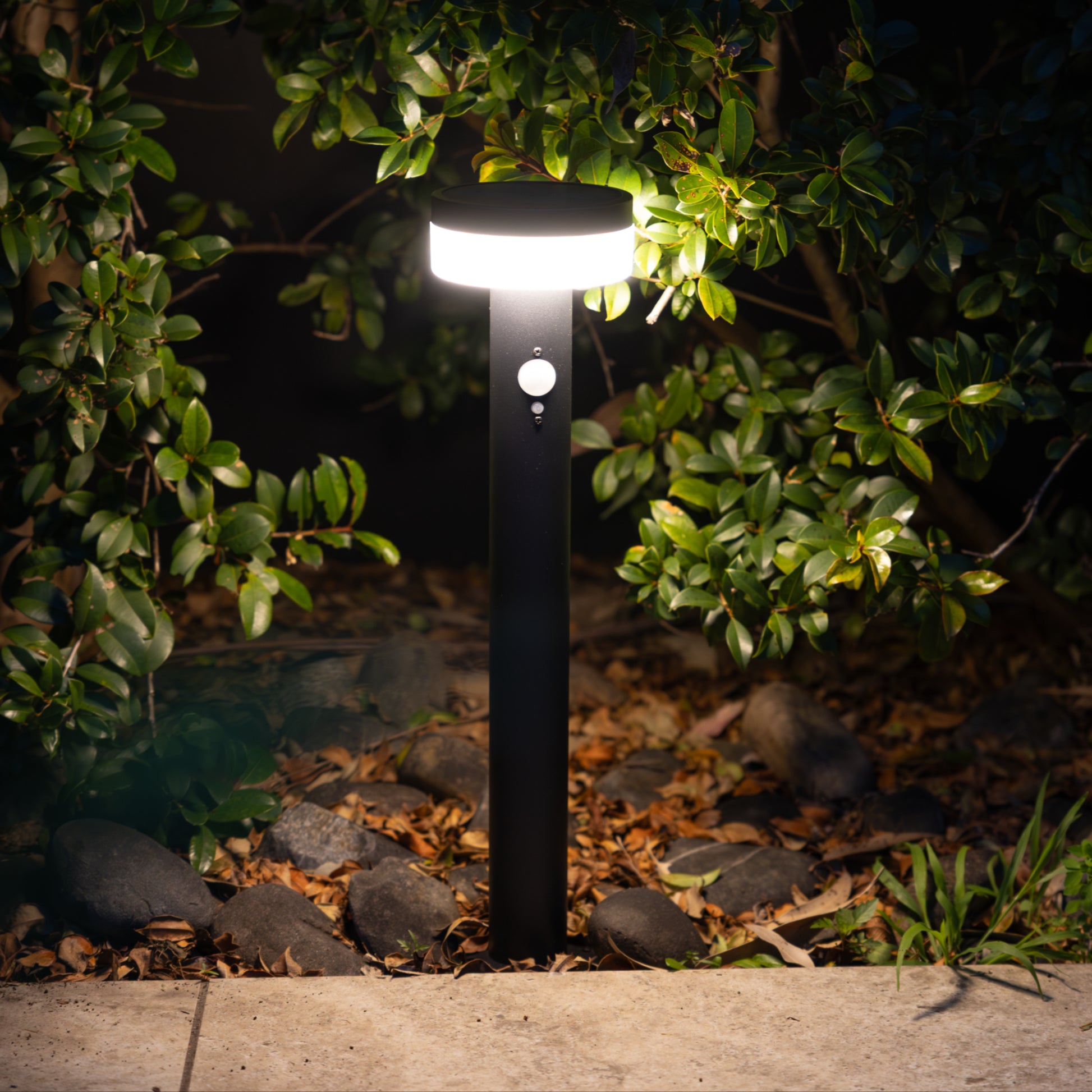 Black stainless steel solar bollard light illuminating a pathway surrounded by greenery.