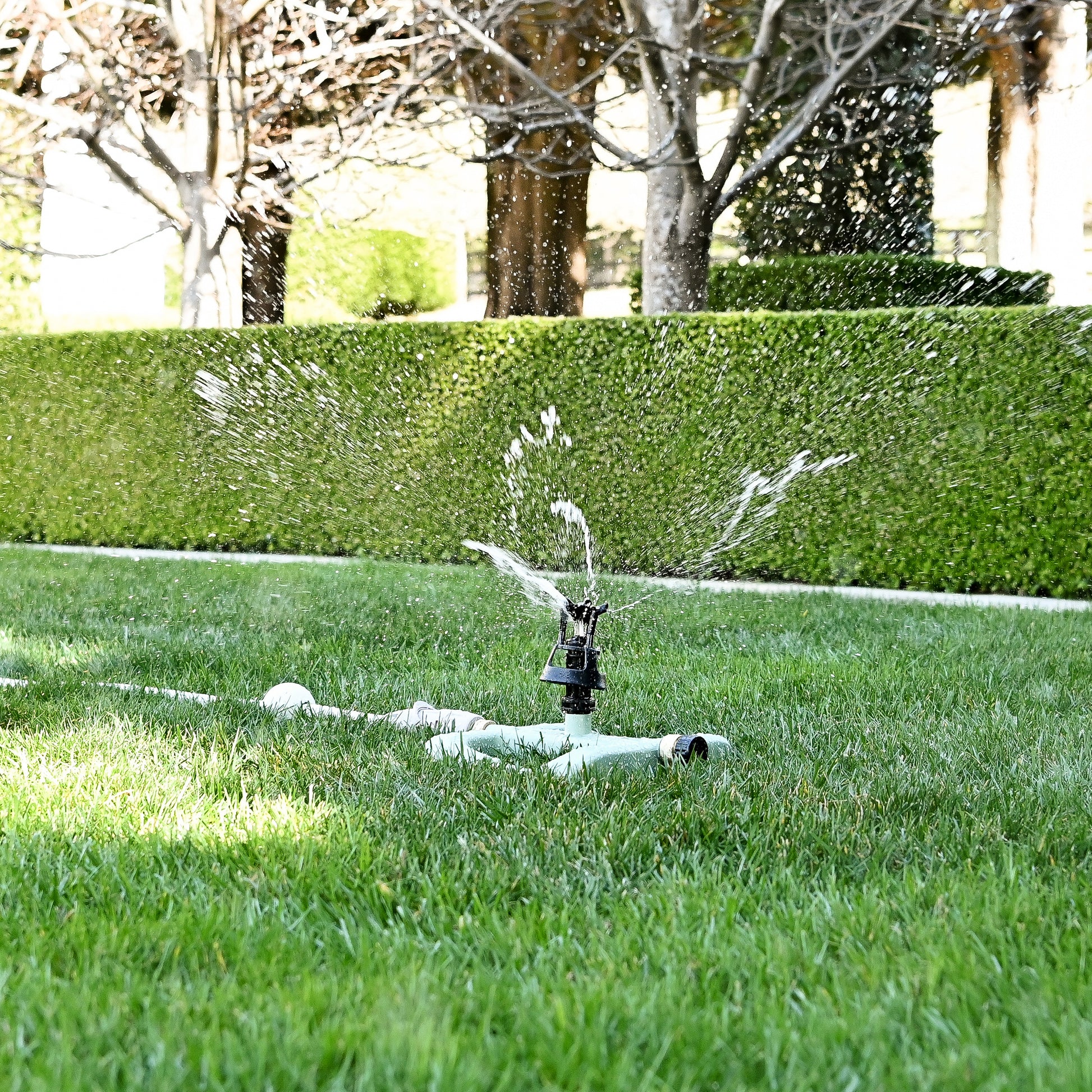 wobble sprinkler watering grass