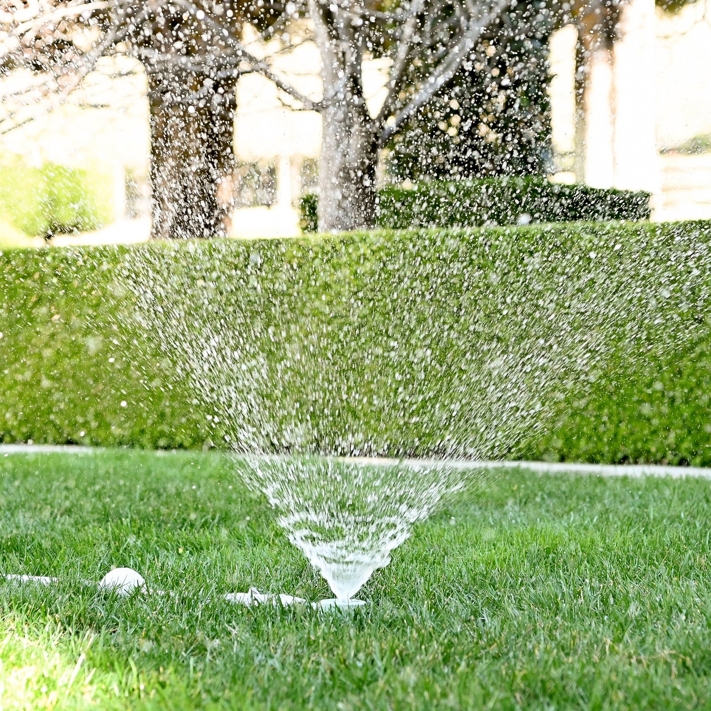 round sprinkler watering grass