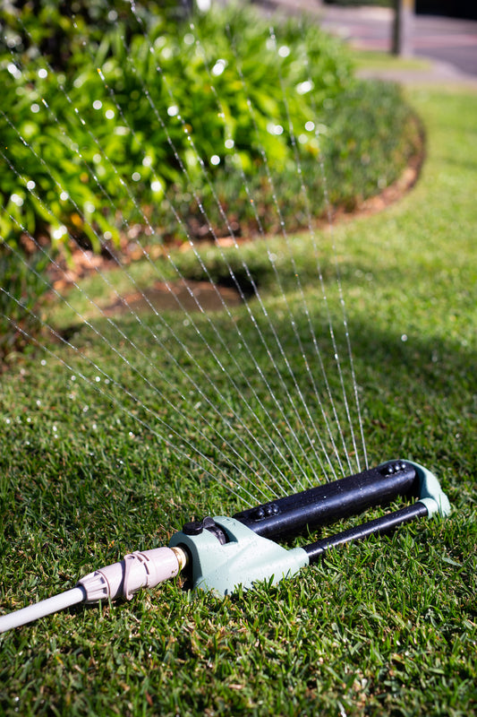 oscillating sprinkler watering lawn