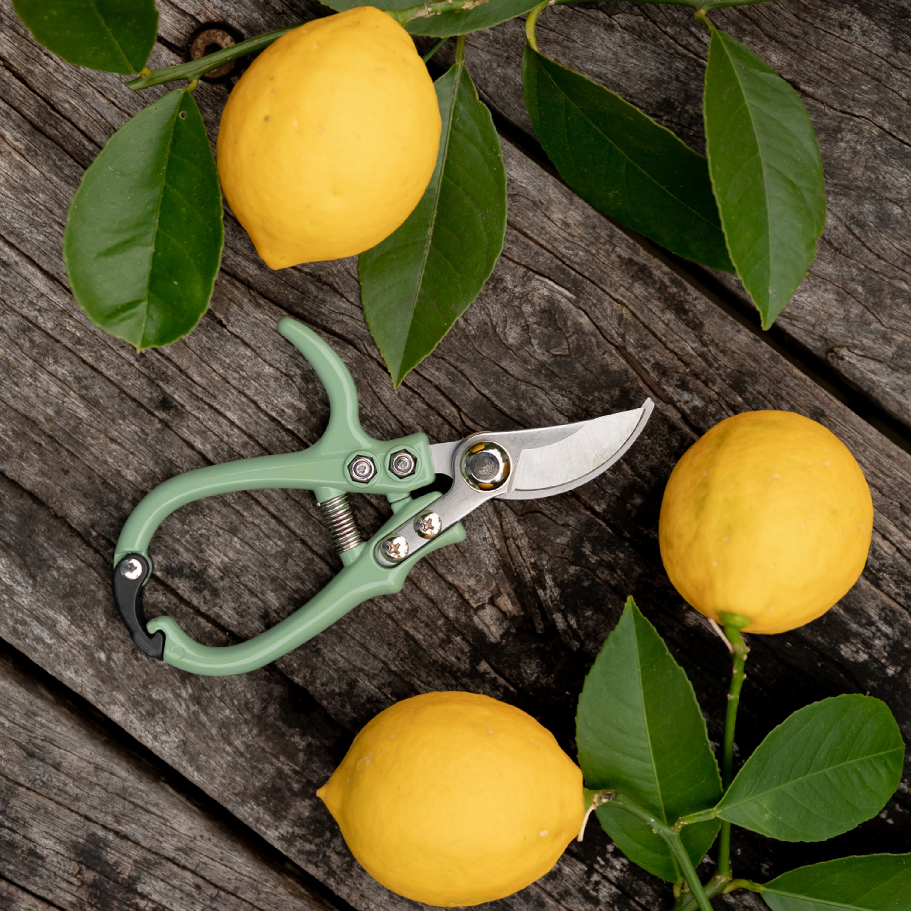 Garden Snippers | Hoselink – Hoselink USA