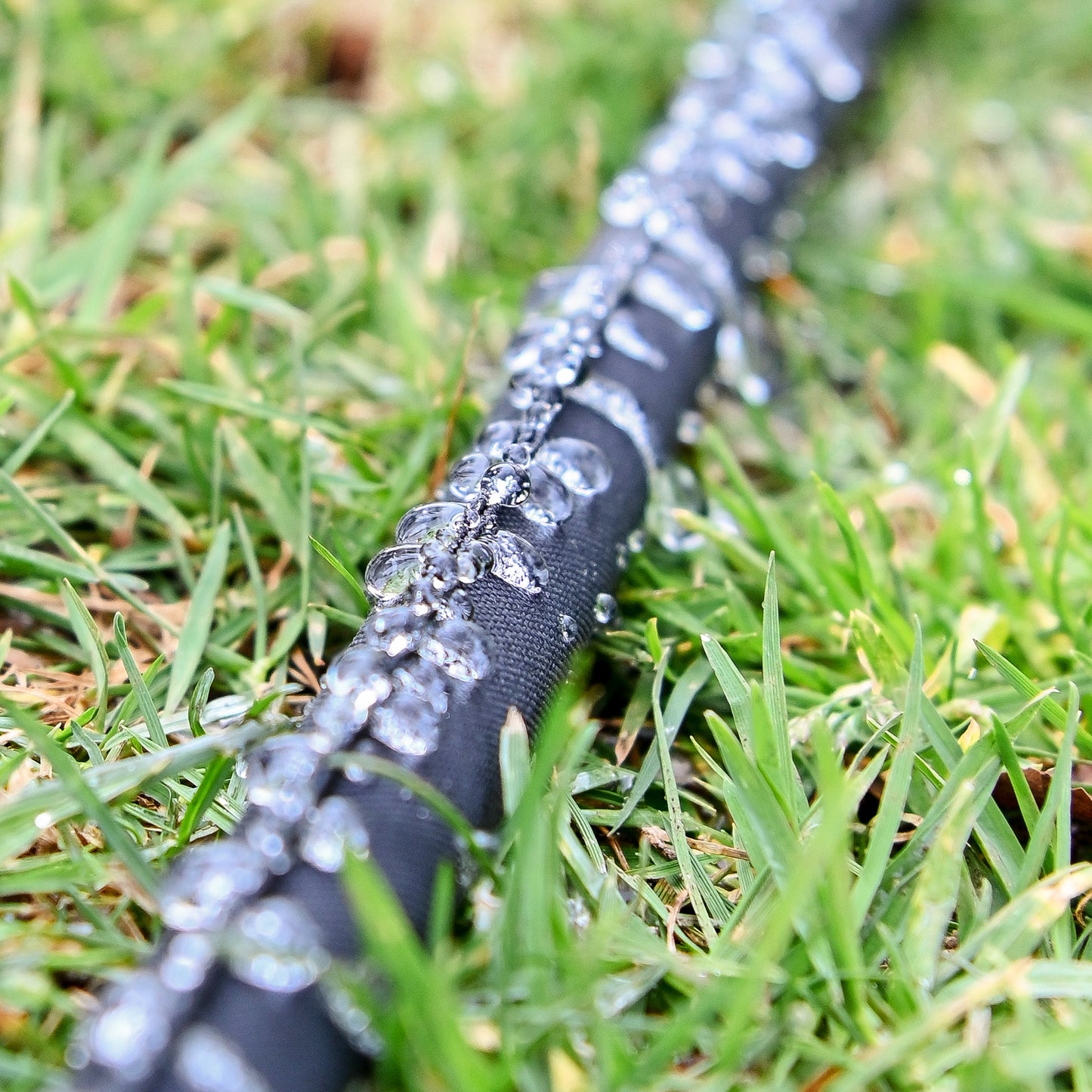 close up of weeper hose weeping water onto the lawn