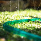 close up of green soaker hose on lawn spraying water upwards