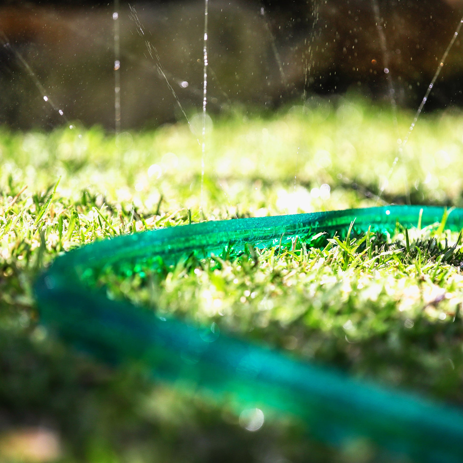 close up of green soaker hose on lawn spraying water upwards